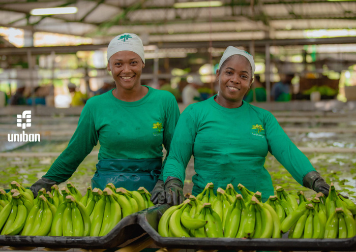 La mayor exportadora de frutas de Colombia