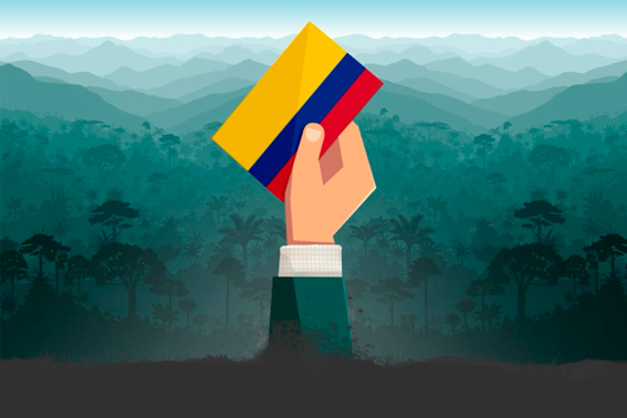 Opinión