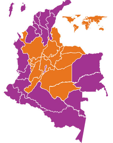 Opinión