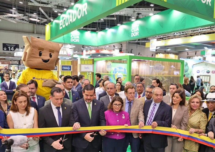 banano ecuatoriano